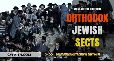 Exploring the Diverse World of Orthodox Jewish Sects and Communities