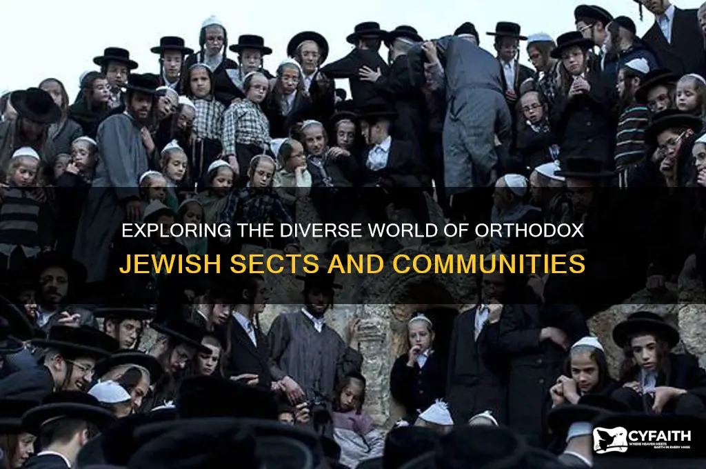 what are the different orthodox jewish sects