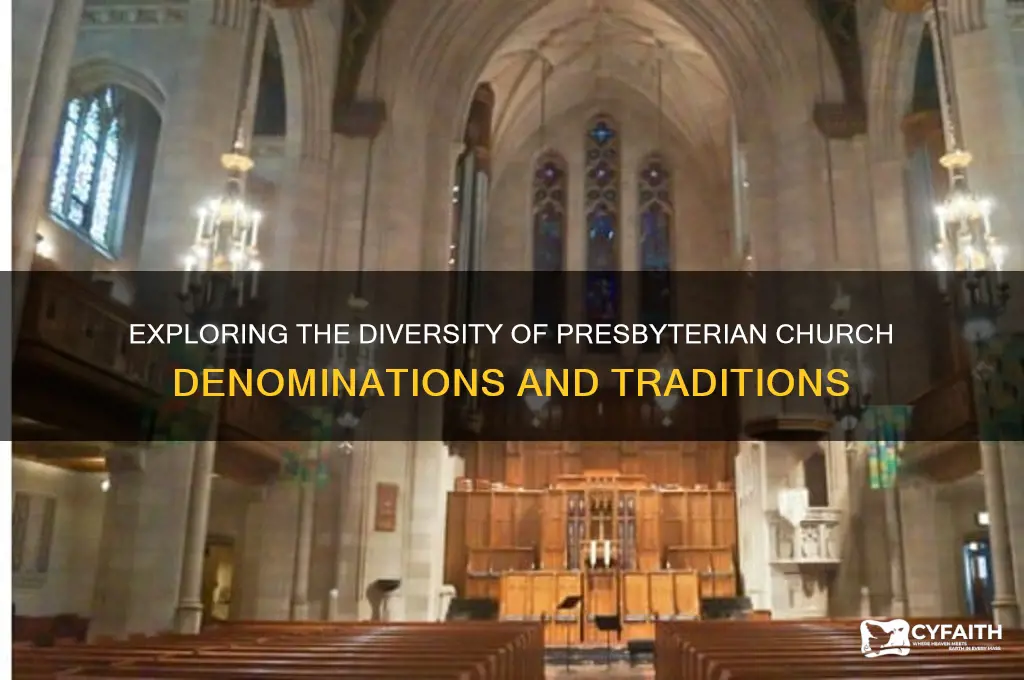 what are the different types of presbyterian churches