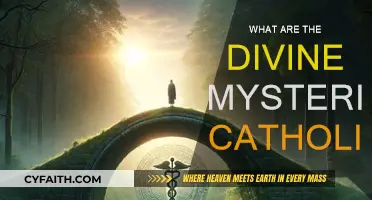 The Divine Mysteries: A Catholic's Sacred Rituals