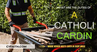 Cardinals: Duties and Responsibilities in the Catholic Church