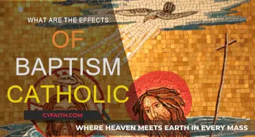 Baptism's Impact on Catholics Explained