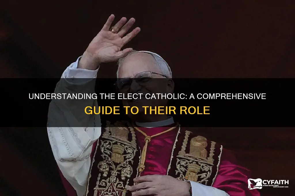 what are the elect catholic