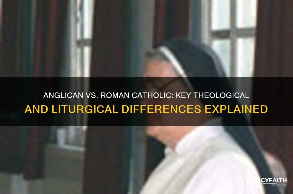what are the essential differences between anglican and roman catholic