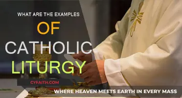 Catholic Liturgy: Examples and Their Significance