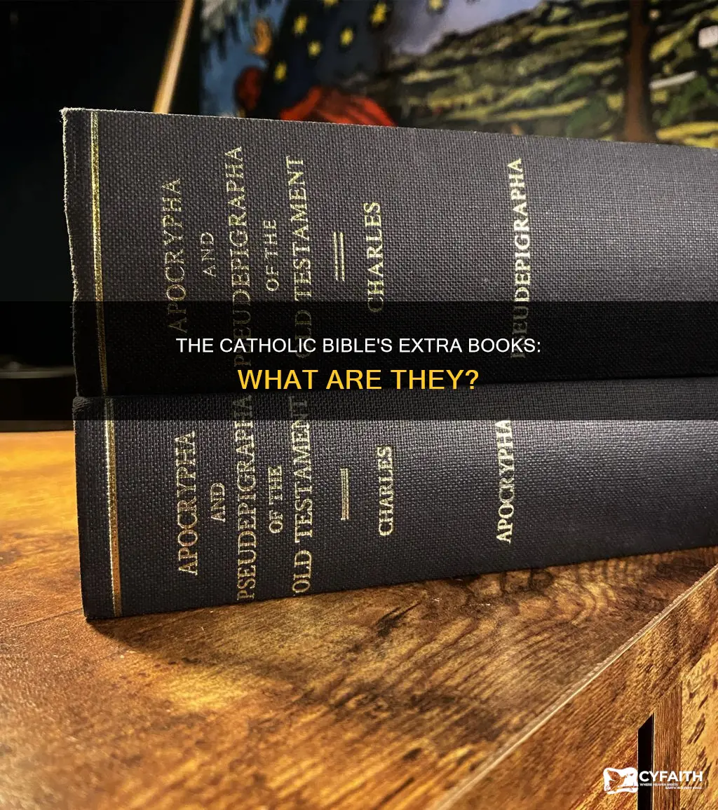 what are the extra catholic books called