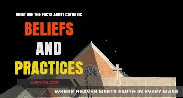 Understanding Catholic Faith: Core Beliefs, Practices, and Traditions Explained