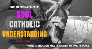 Catholic Insights: Exploring the Faculties of the Soul