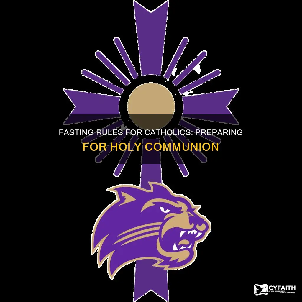 what are the fasting rules for catholic communion