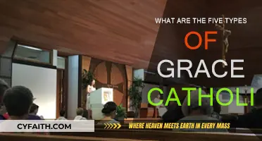 Understanding the Five Catholic Graces