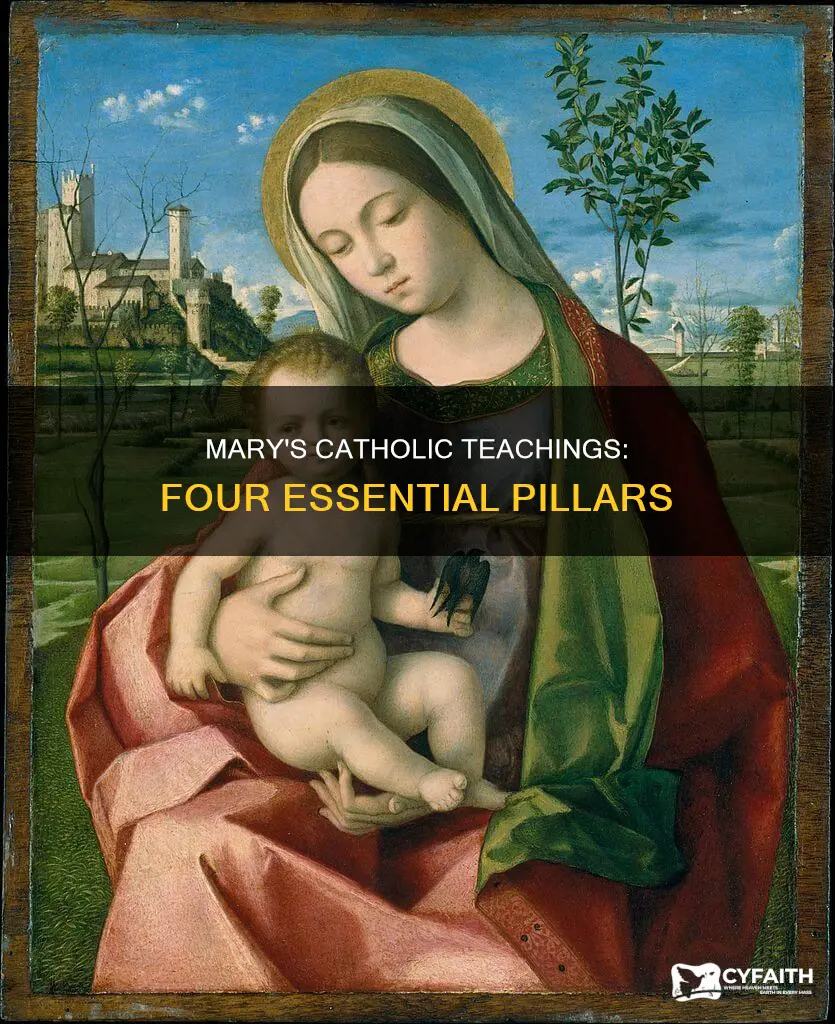 what are the four catholic teachings of mary