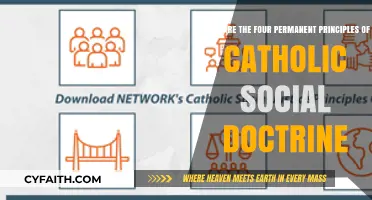 Catholic Social Doctrine: Four Enduring Principles Shaping Faith and Action