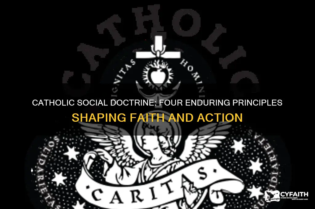 what are the four permanent principles of catholic social doctrine