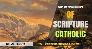 Understanding the Catholic Four Senses of Scripture: A Comprehensive Guide