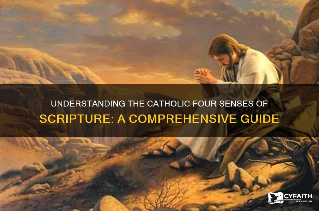 what are the four senses of scripture catholic