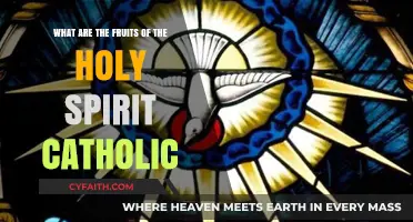 Catholic Fruits of the Holy Spirit: Cultivating Divine Virtues in Faith
