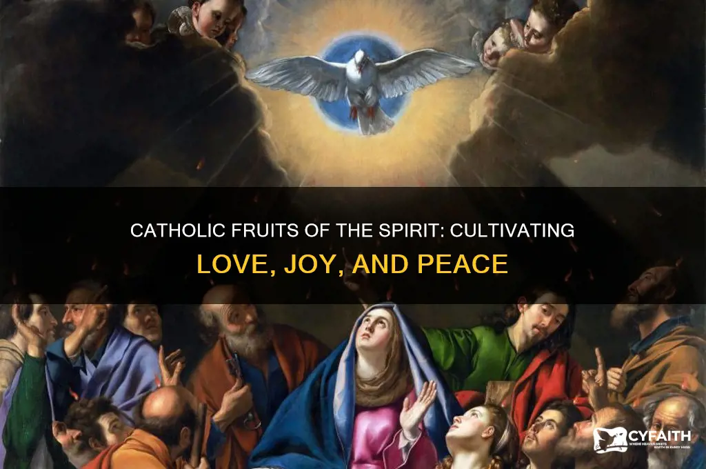 what are the fruits of the spirit catholic