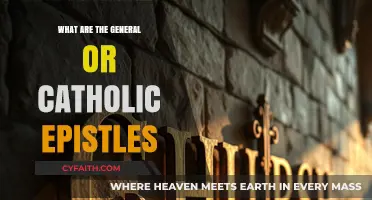 Exploring the General and Catholic Epistles: Faith, Wisdom, and Community