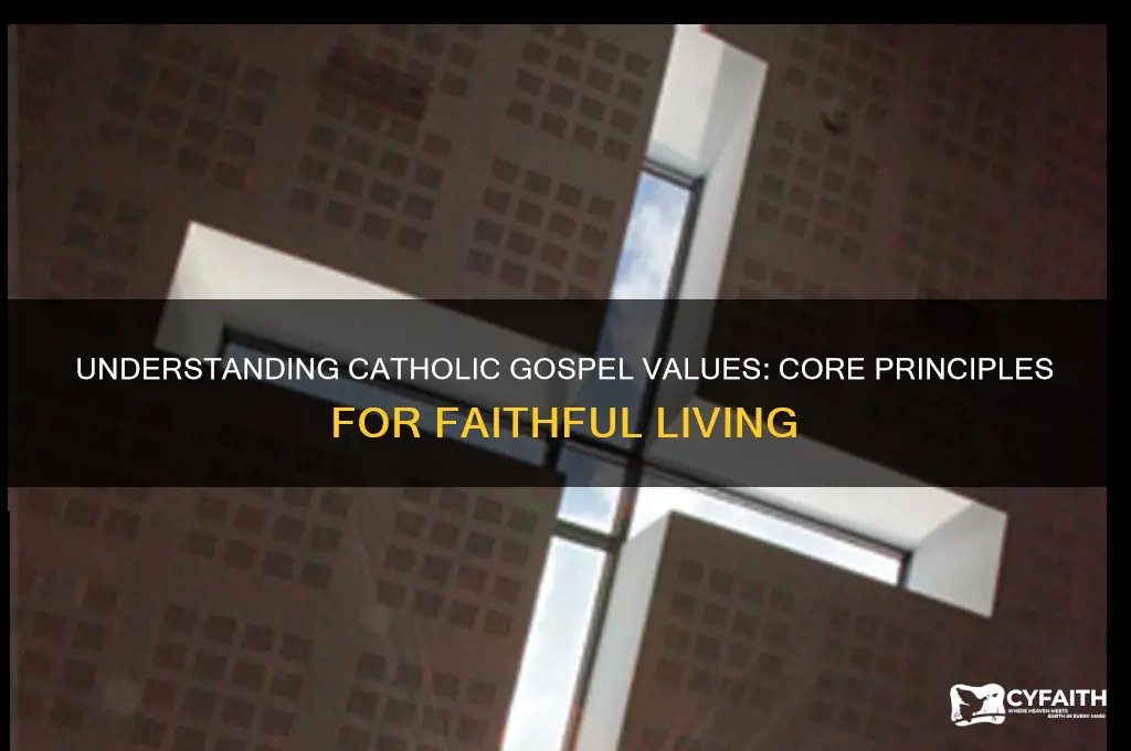 what are the gospel values catholic