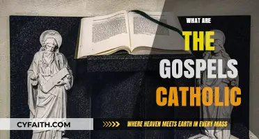 Understanding the Catholic Gospels: Origins, Significance, and Role in Faith