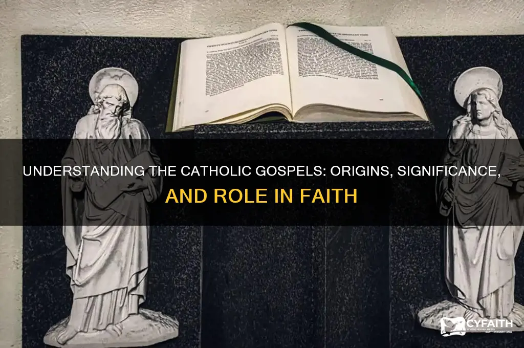 what are the gospels catholic