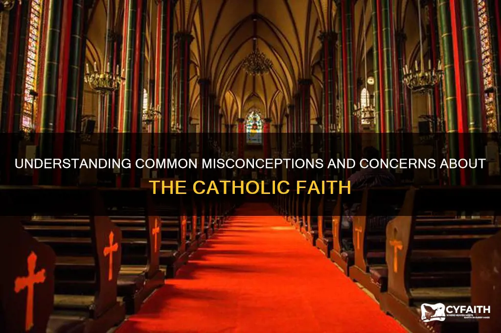 what are the grips about the catholic religion