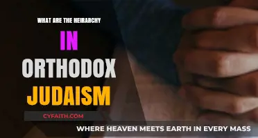 Understanding the Hierarchical Structure of Orthodox Judaism: Roles and Responsibilities