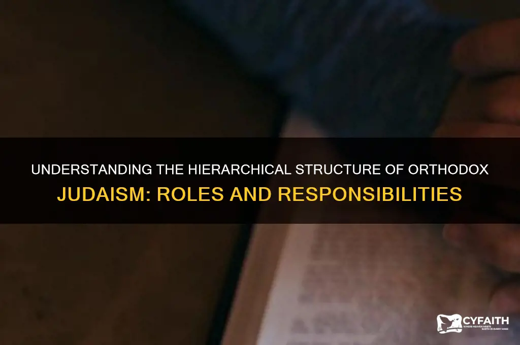 what are the heirarchy in orthodox judaism