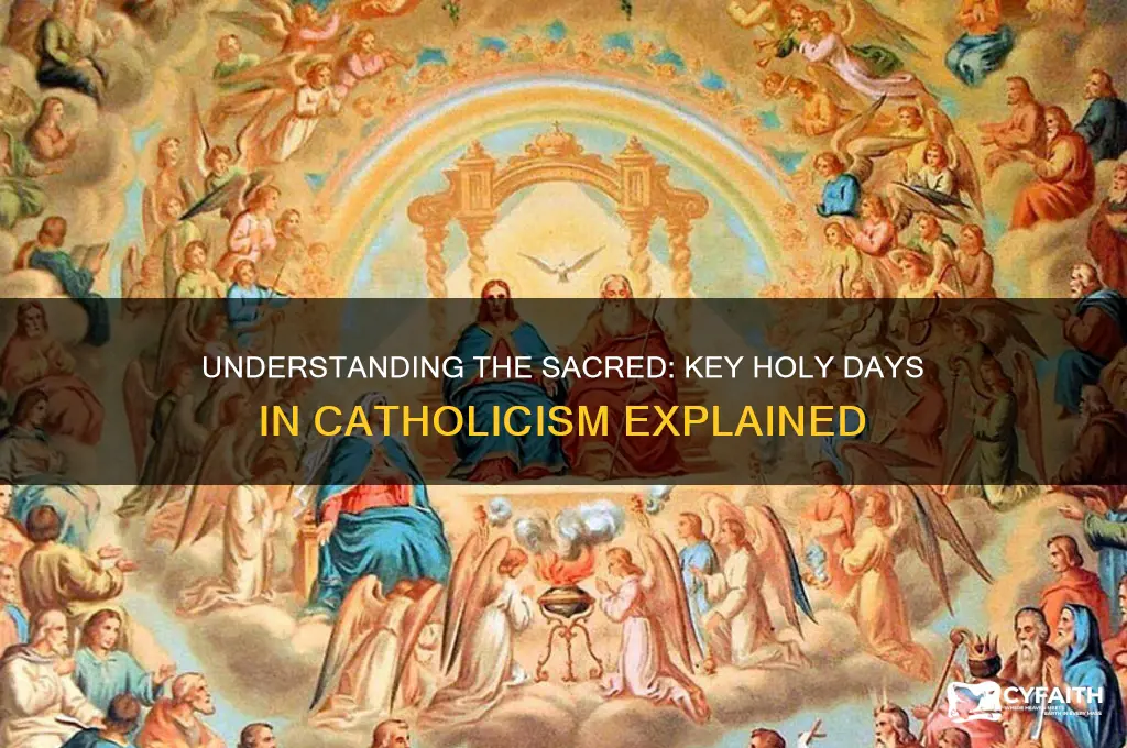 what are the holy days in the catholic religion