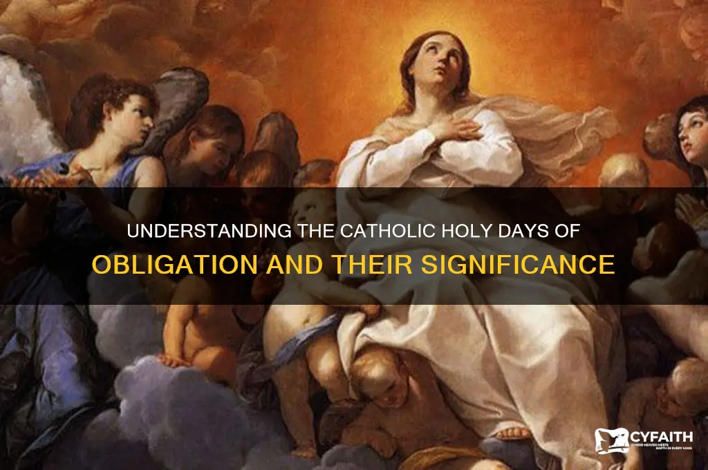 what are the holy days of obligation catholic