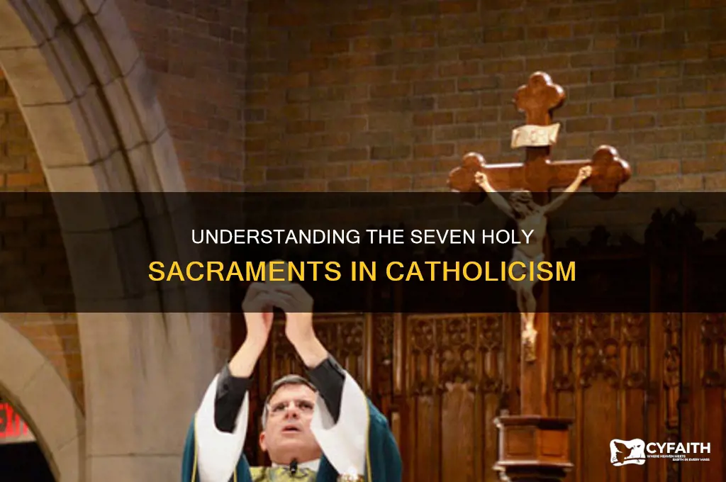 what are the holy sacraments in the catholic religion