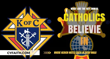 Core Catholic Beliefs: Understanding the Faith's Essential Teachings