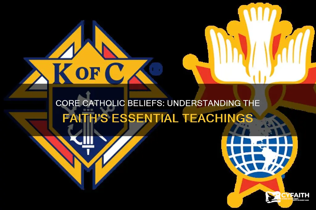 what are the key things catholics believie in