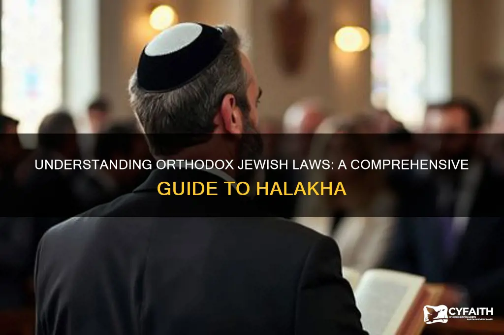 what are the laws orthodox jews follow