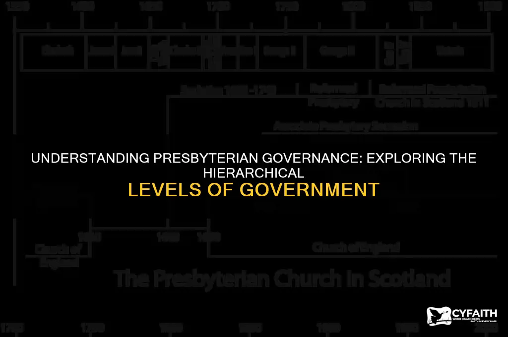 what are the levels of government in the presbyterian form