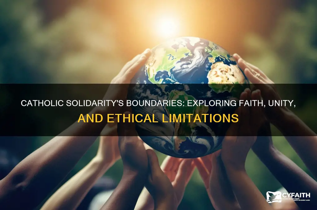 what are the limits of solidarity for a catholic