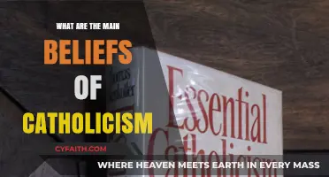 Key Catholic Beliefs: Core Principles of Catholicism