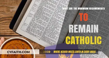Staying Catholic: Essential Practices and Beliefs to Maintain Faith