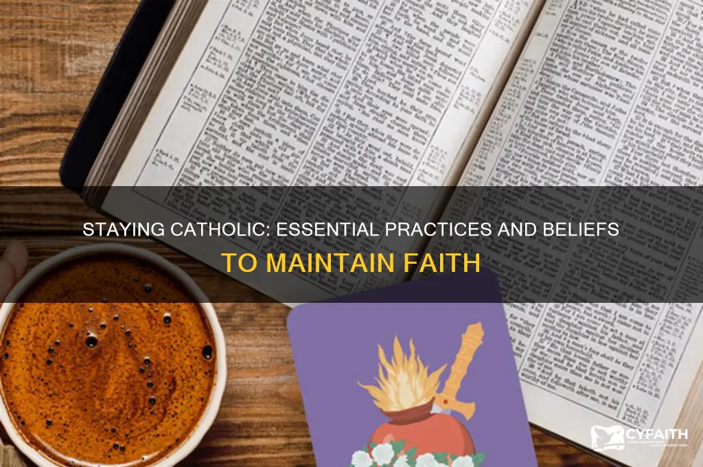 what are the minimum requirements to remain catholic