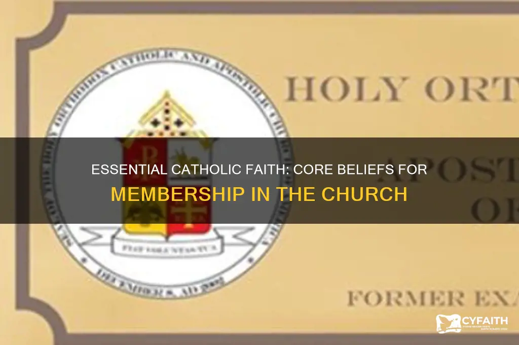 what are the minium beliefs you need to be catholic