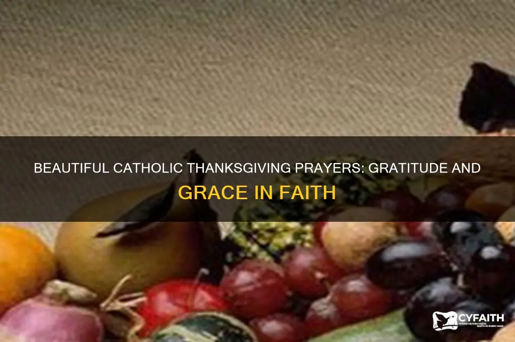 what are the most beautiful catholic prayers for thanksgiving
