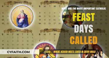 Key Catholic Feast Days: Names, Meanings, and Significance Explained