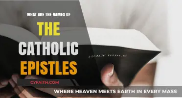 Exploring the Catholic Epistles: Their Names and Significance in Scripture