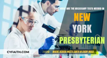 Essential Medical Tests at New York Presbyterian: A Comprehensive Guide