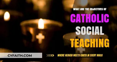 Understanding Catholic Social Teaching: Core Objectives and Principles Explained