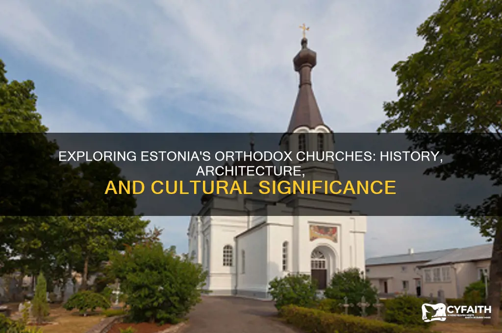 what are the orthodox churches of estonia