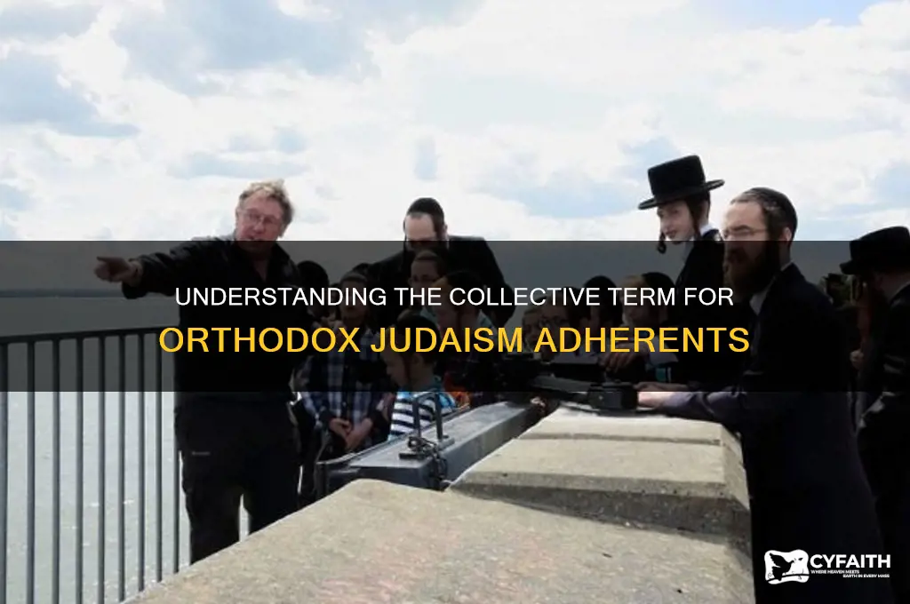 what are the orthodox judaism members called as a whole