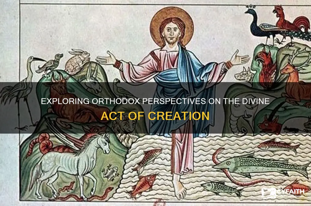 what are the orthodox views of creation