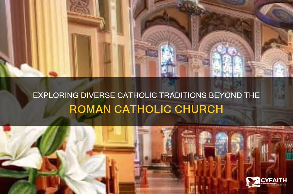 what are the other catholic religions