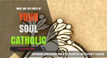Understanding the Catholic Perspective on the Soul's Components and Essence